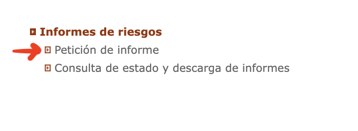 CIRBE que es - tramite online paso 4